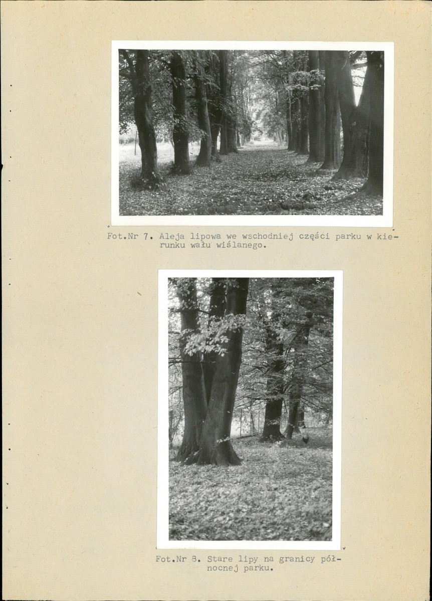 Ewidencja parkowa, skan nr 30