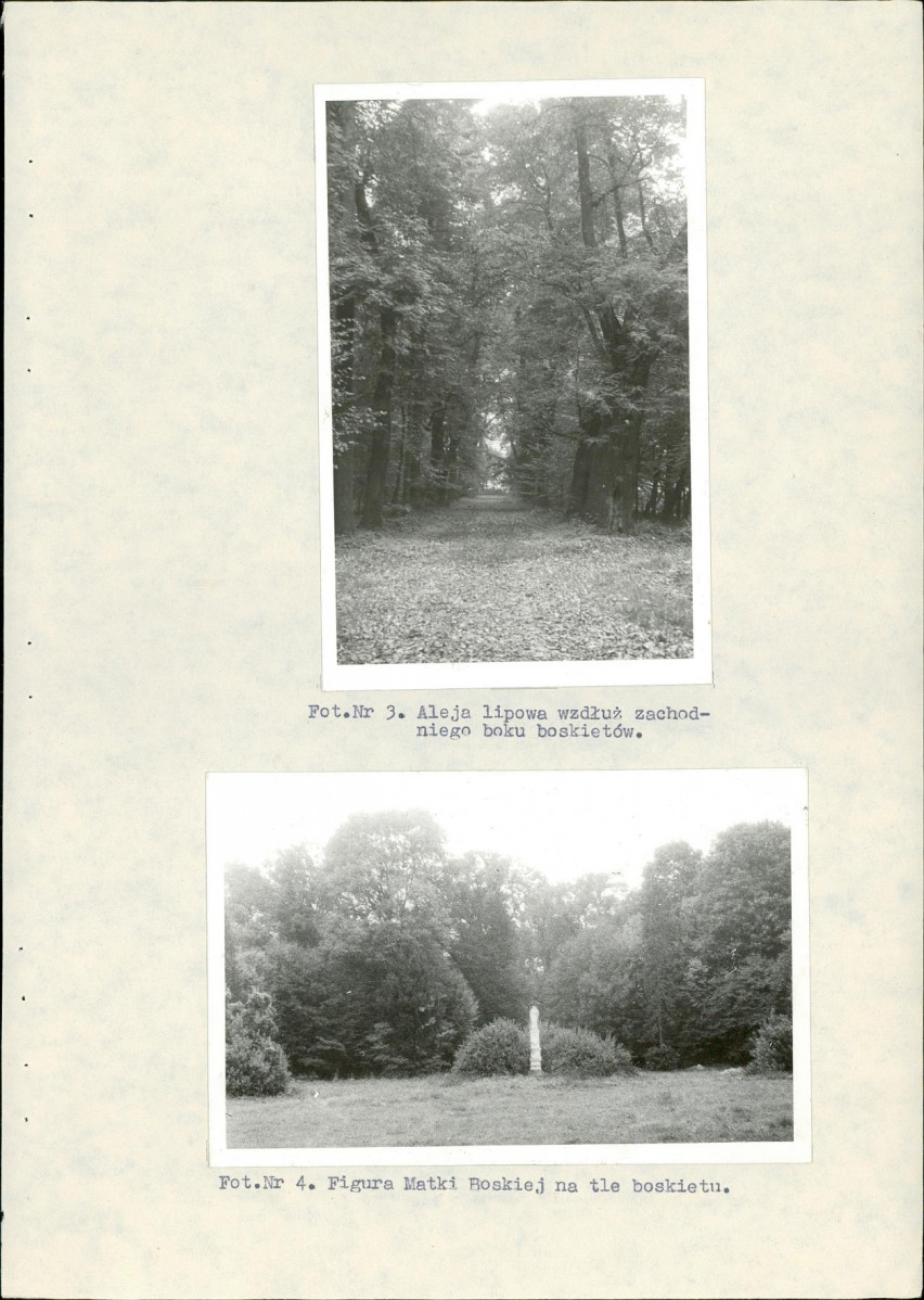 Ewidencja parkowa, skan nr 36