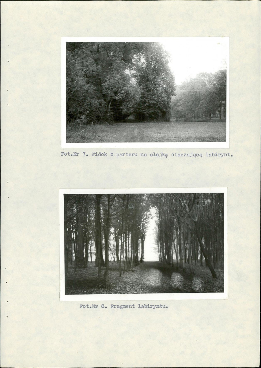 Ewidencja parkowa, skan nr 38