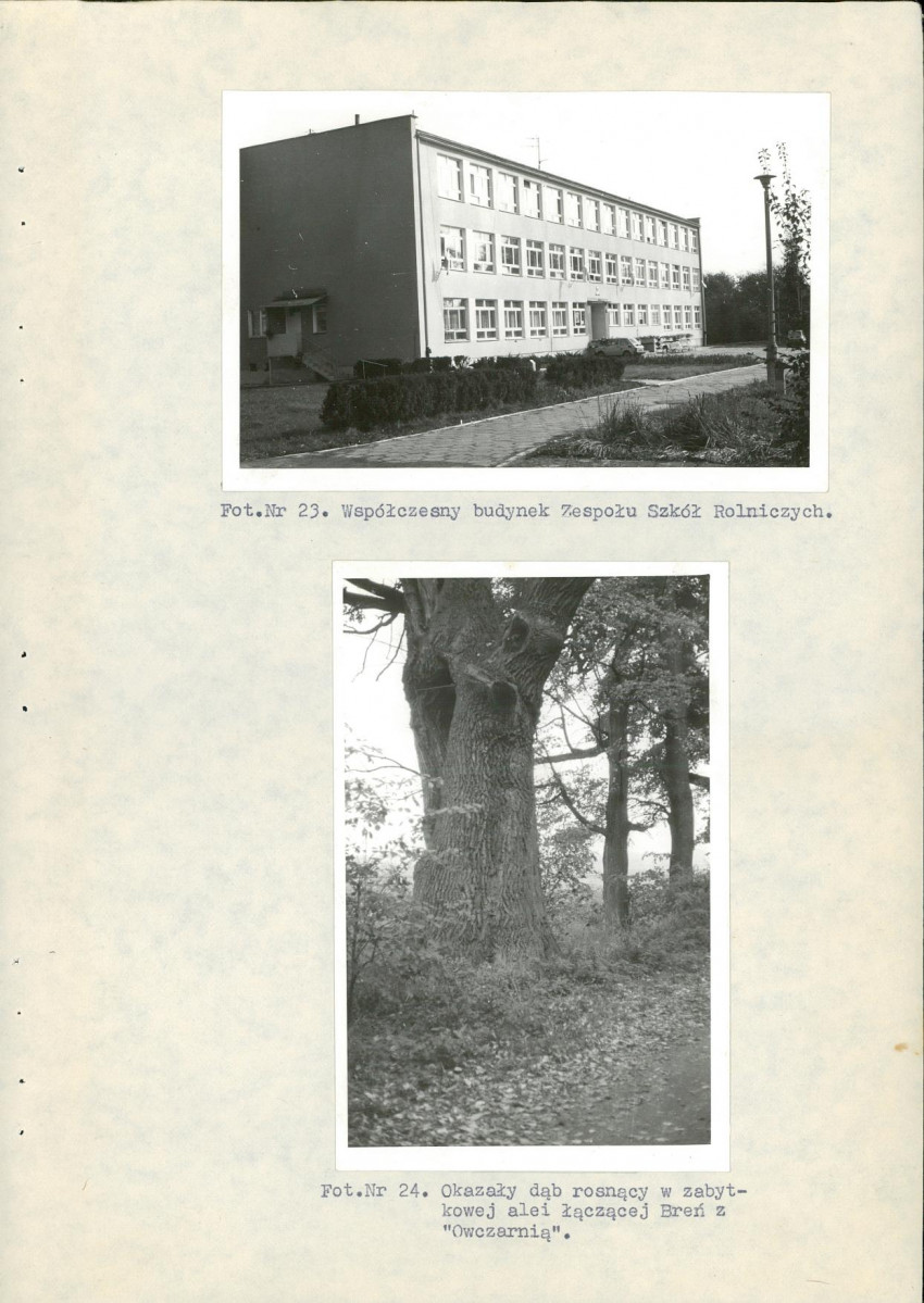 Ewidencja parkowa, skan nr 46