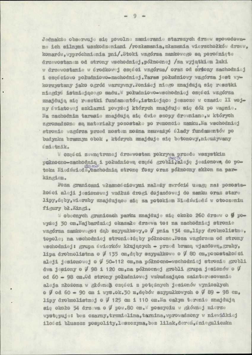 Ewidencja parkowa, skan nr 13