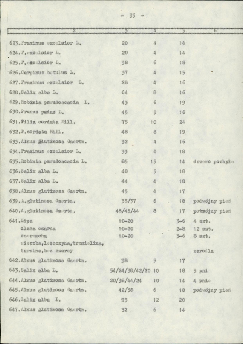 Ewidencja parkowa, skan nr 39