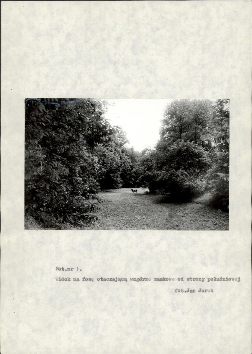 Ewidencja parkowa, skan nr 54