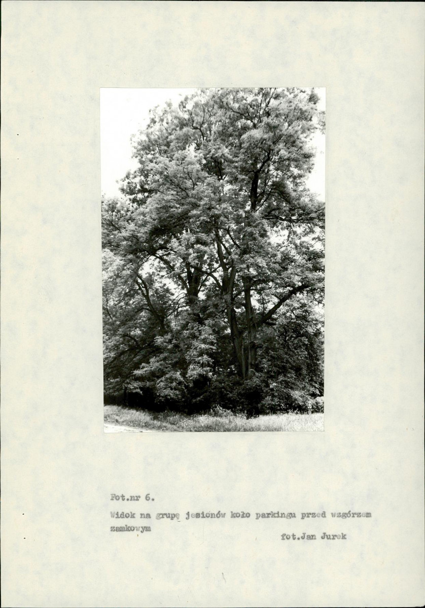 Ewidencja parkowa, skan nr 59