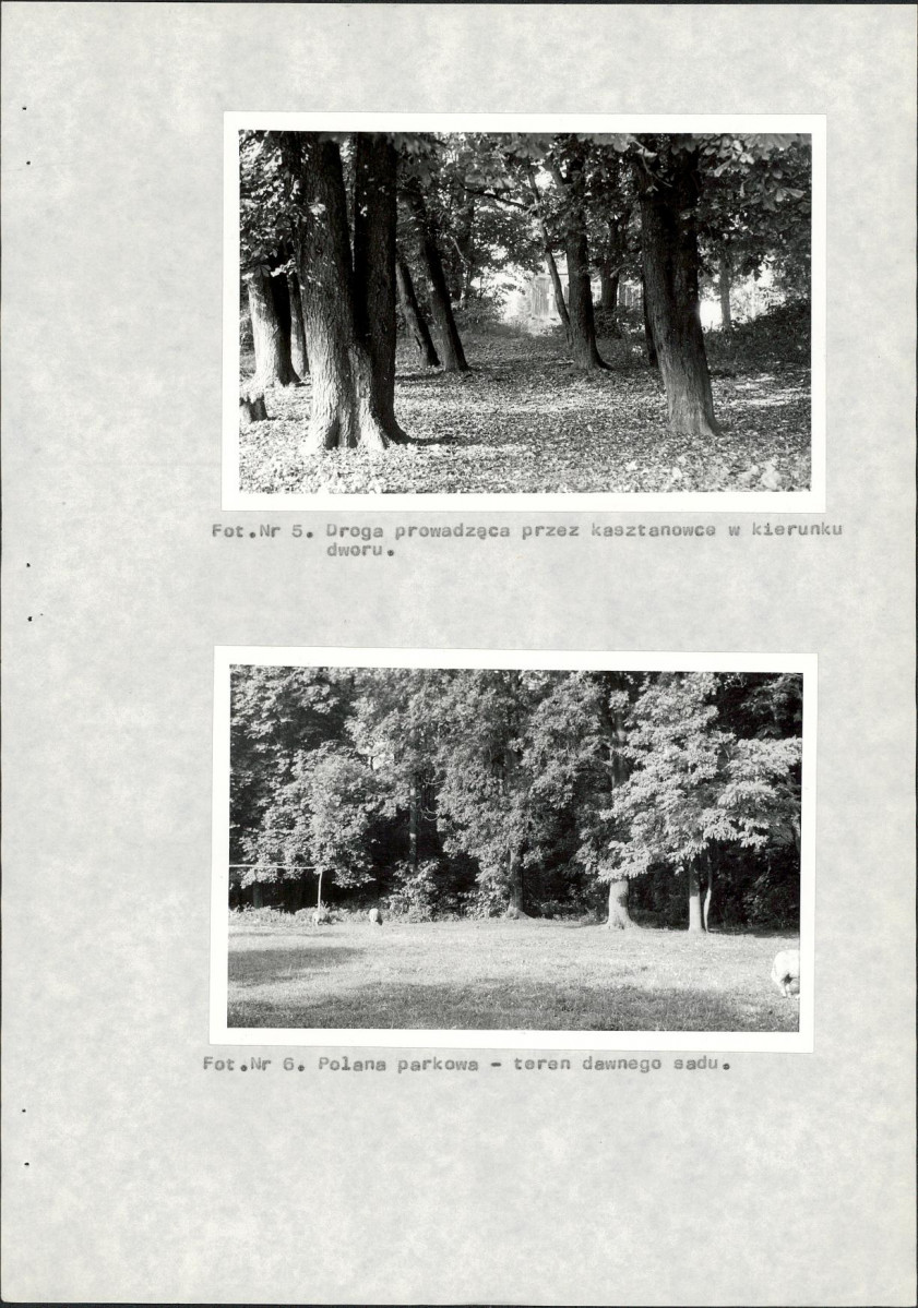 Ewidencja parkowa, skan nr 27