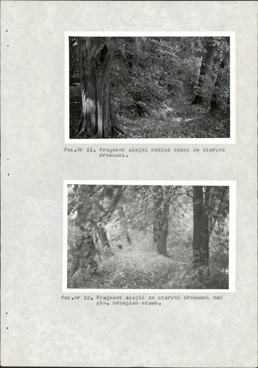 Ewidencja parkowa, skan nr 30