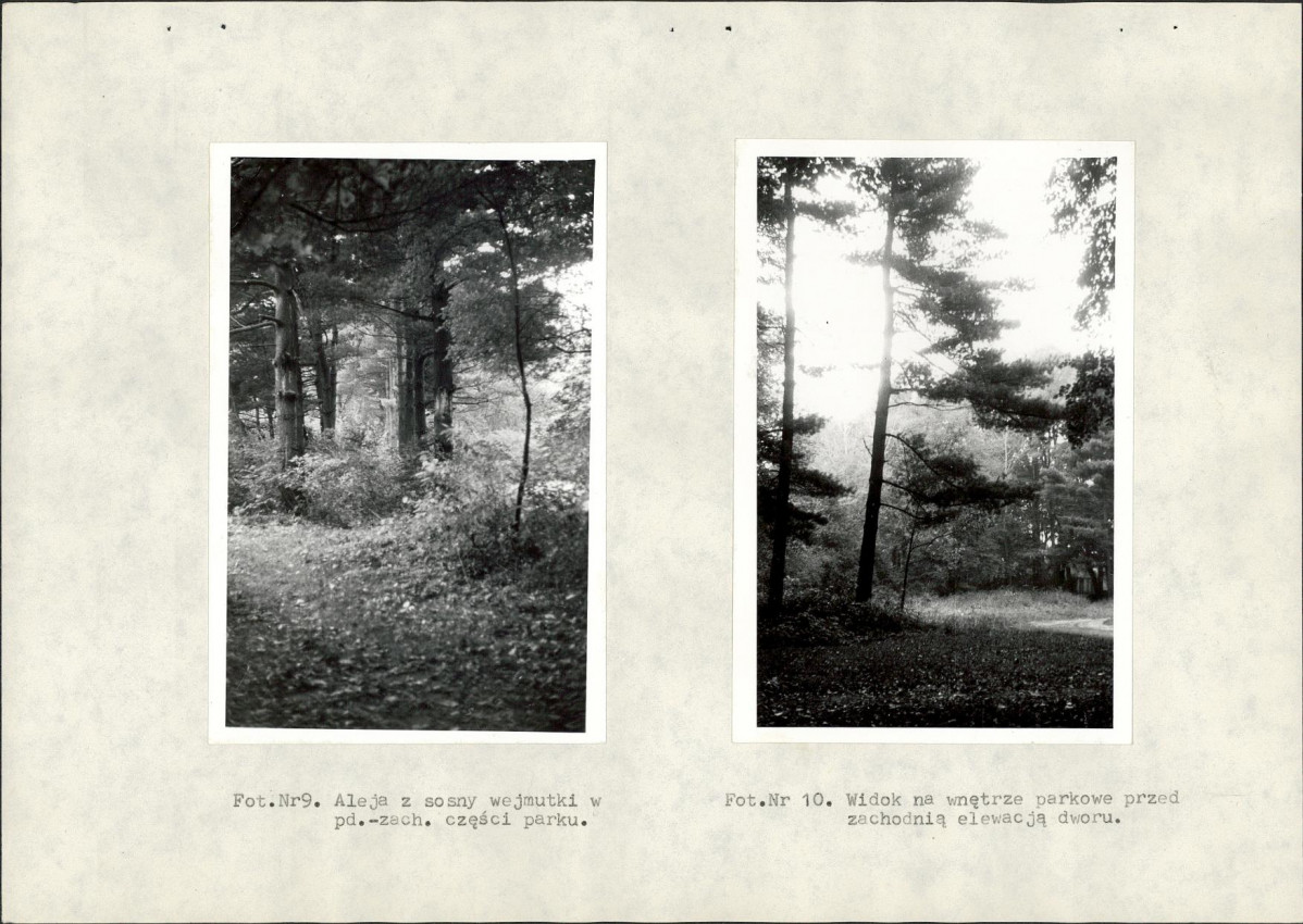 Ewidencja parkowa, skan nr 32