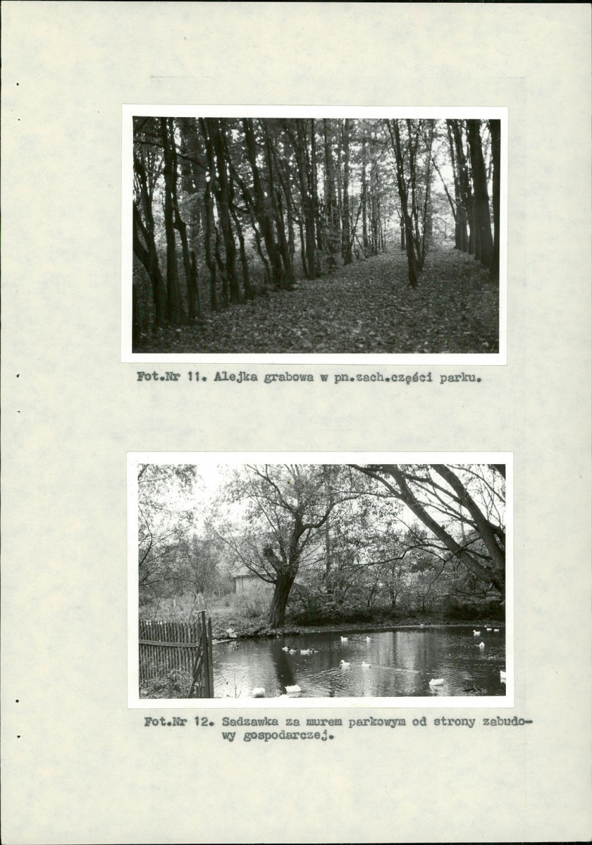 Ewidencja parkowa, skan nr 33