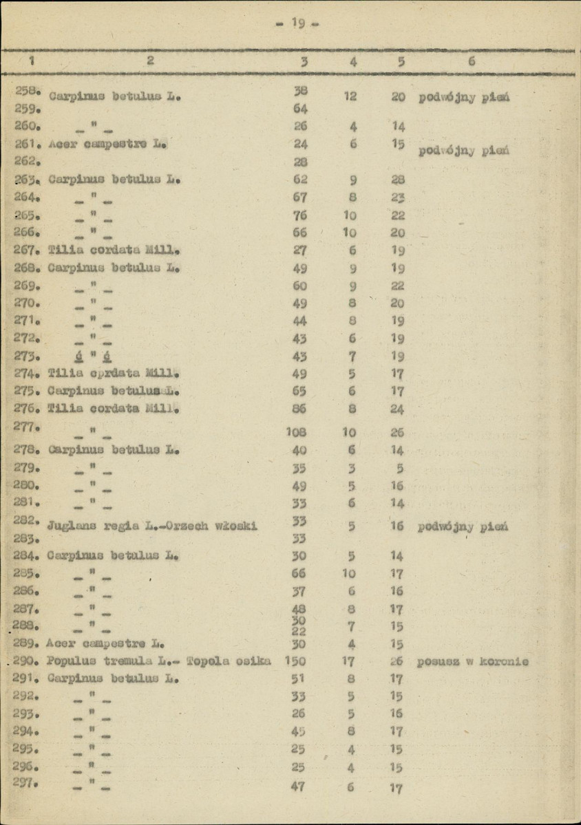Ewidencja parkowa, skan nr 25