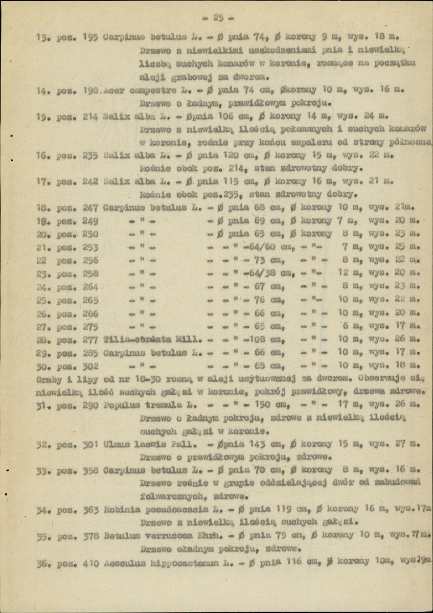 Ewidencja parkowa, skan nr 31