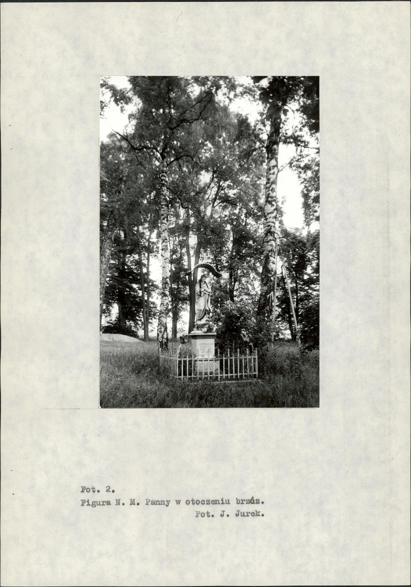 Ewidencja parkowa, skan nr 38
