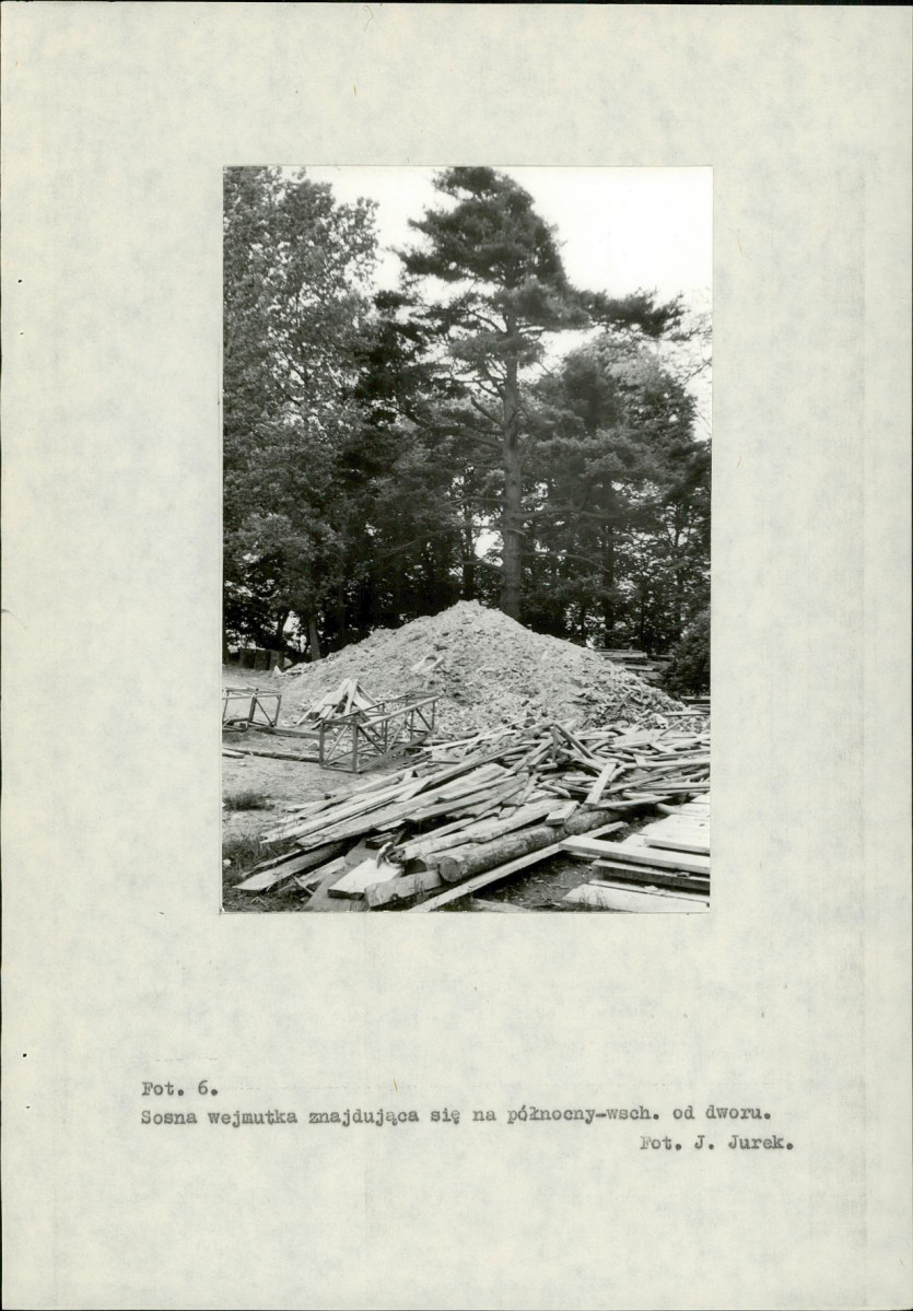 Ewidencja parkowa, skan nr 42