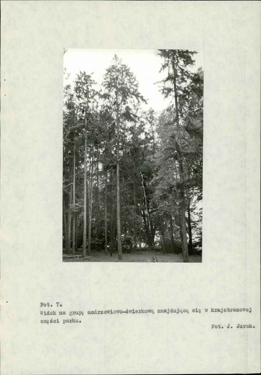 Ewidencja parkowa, skan nr 43