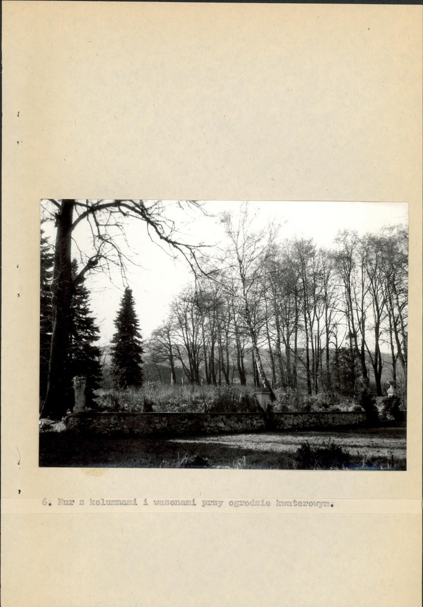 EP - Ewidencja parkowa, skan nr 49