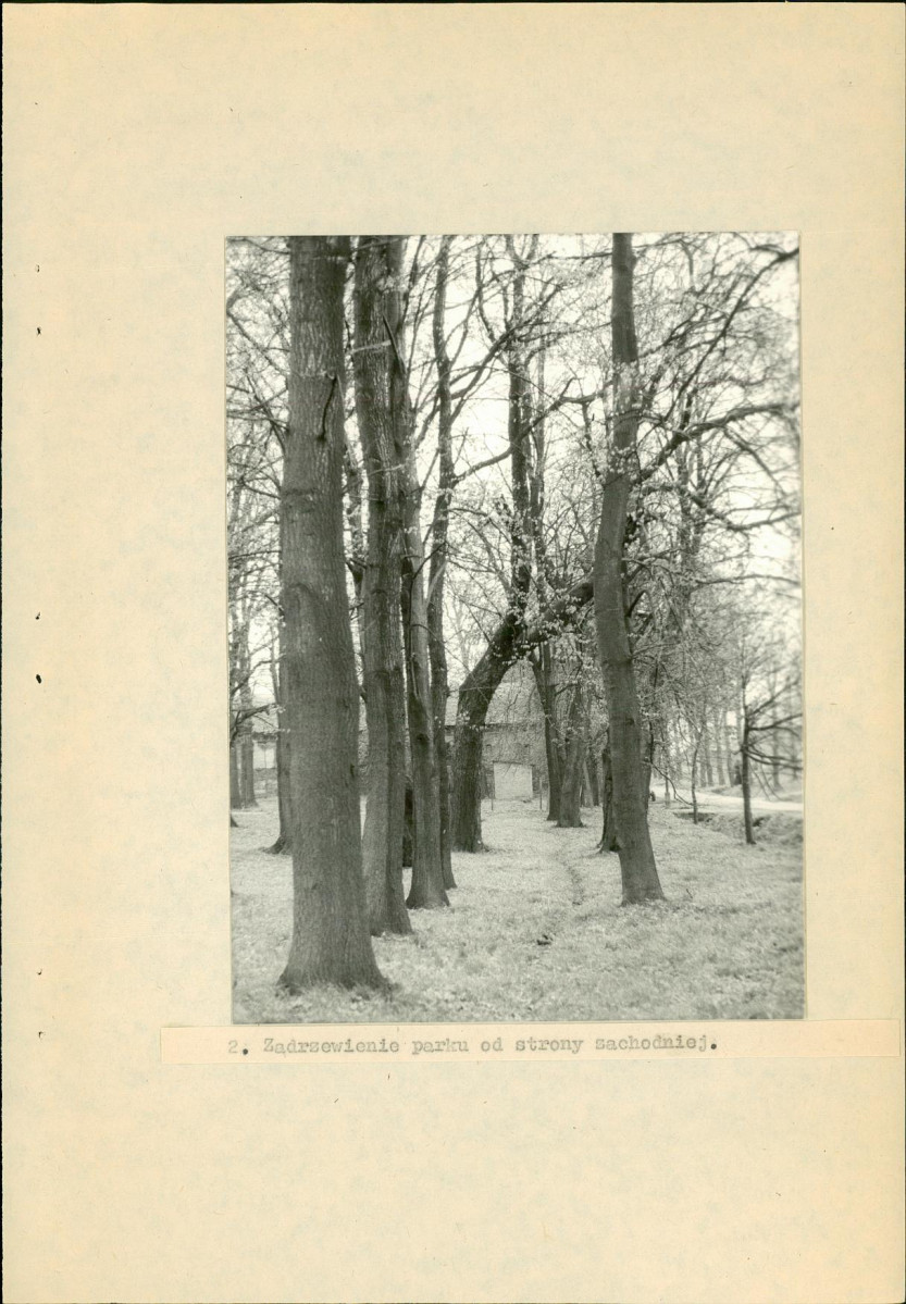 Ewidencja parkowa, skan nr 60