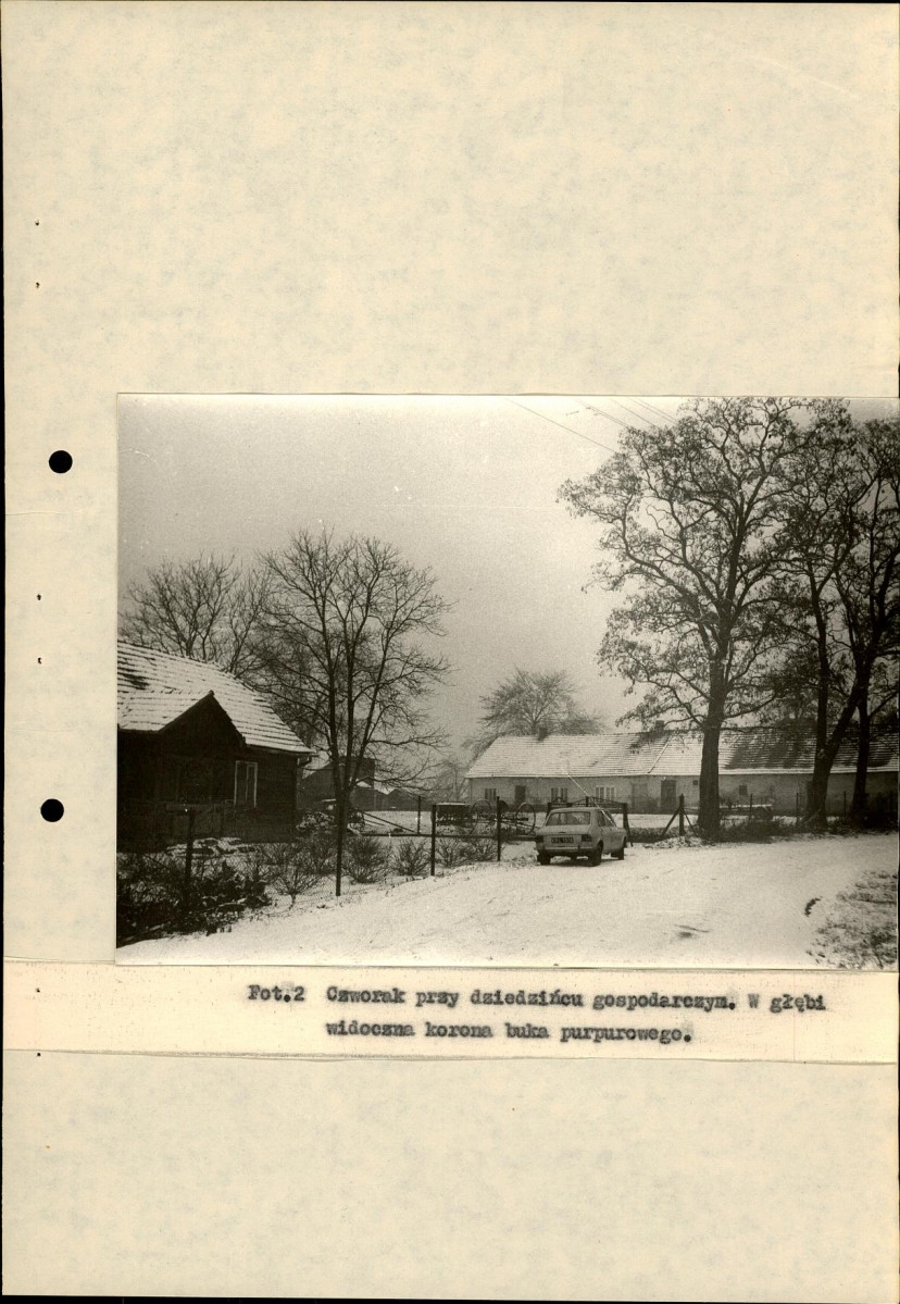 EP - Ewidencja parkowa, skan nr 30