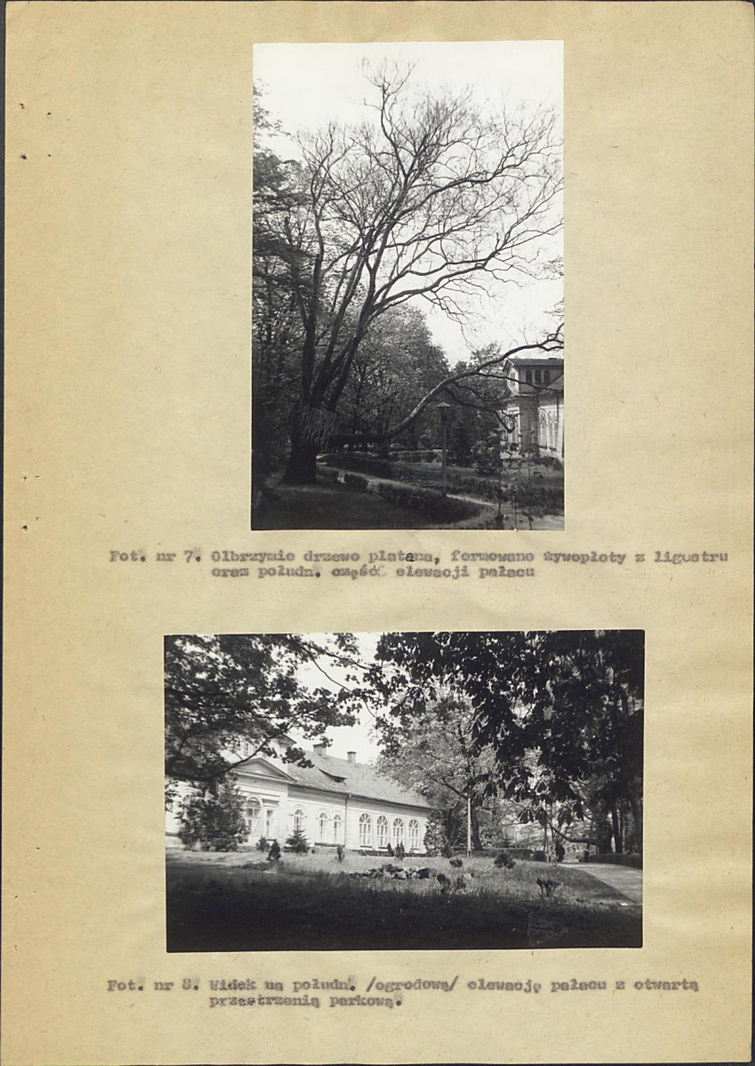 Ewidencja parkowa, skan nr 42