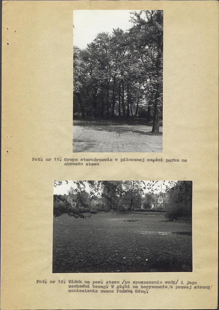 Ewidencja parkowa, skan nr 44