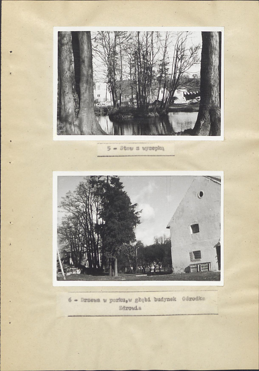 Ewidencja parkowa, skan nr 29