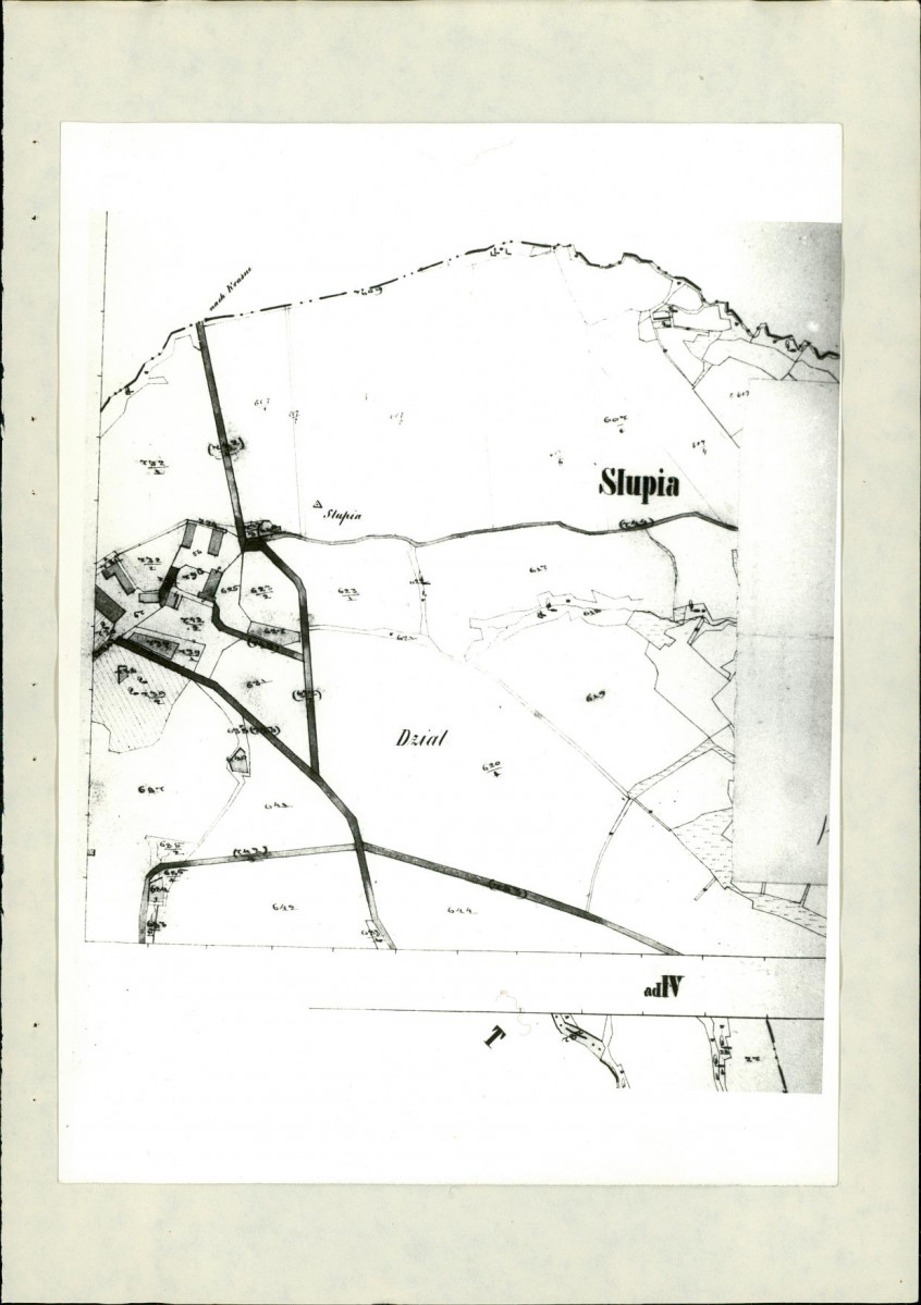 Ewidencja parkowa, skan nr 21
