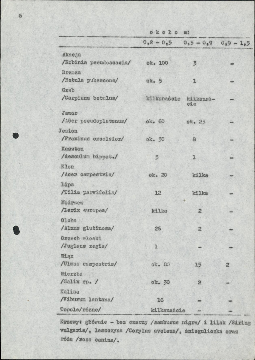Ewidencja parkowa, skan nr 10