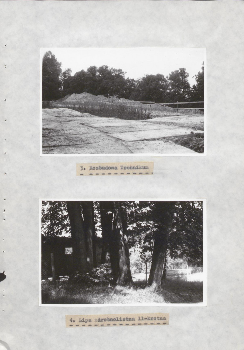 Ewidencja parkowa, skan nr 39