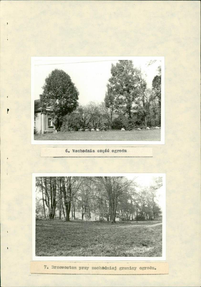 Ewidencja parkowa, skan nr 28