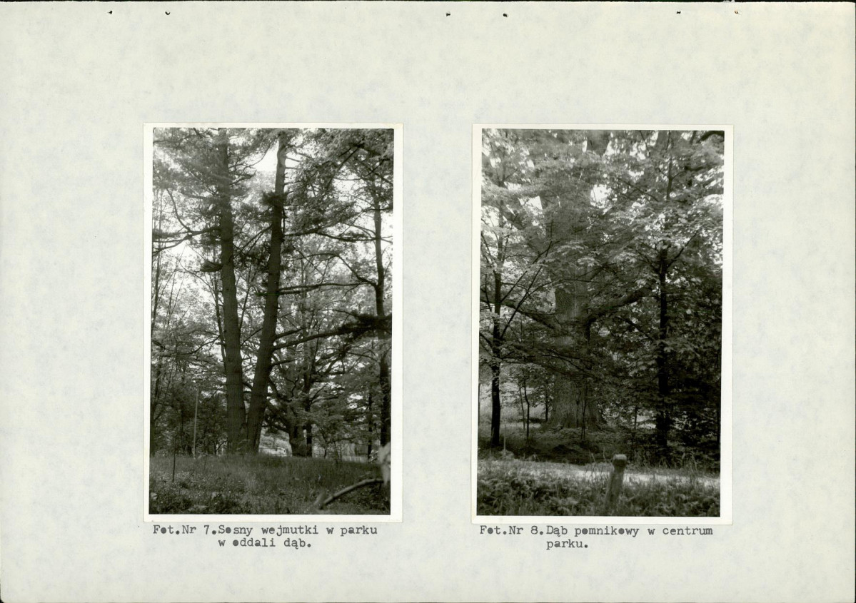 Ewidencja parkowa, skan nr 37