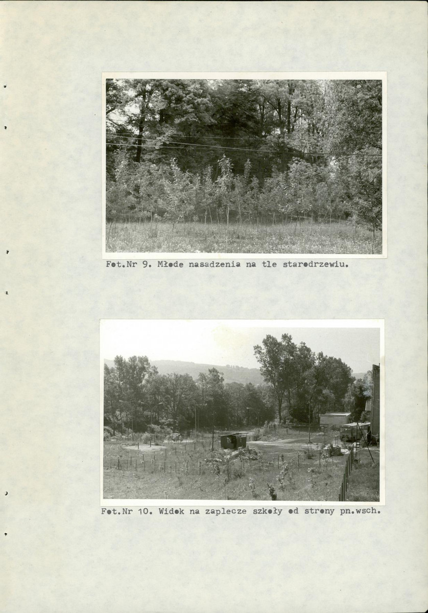 Ewidencja parkowa, skan nr 38