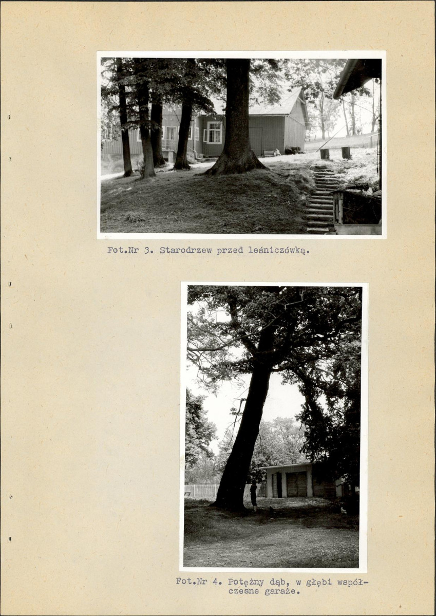 Ewidencja parkowa, skan nr 26