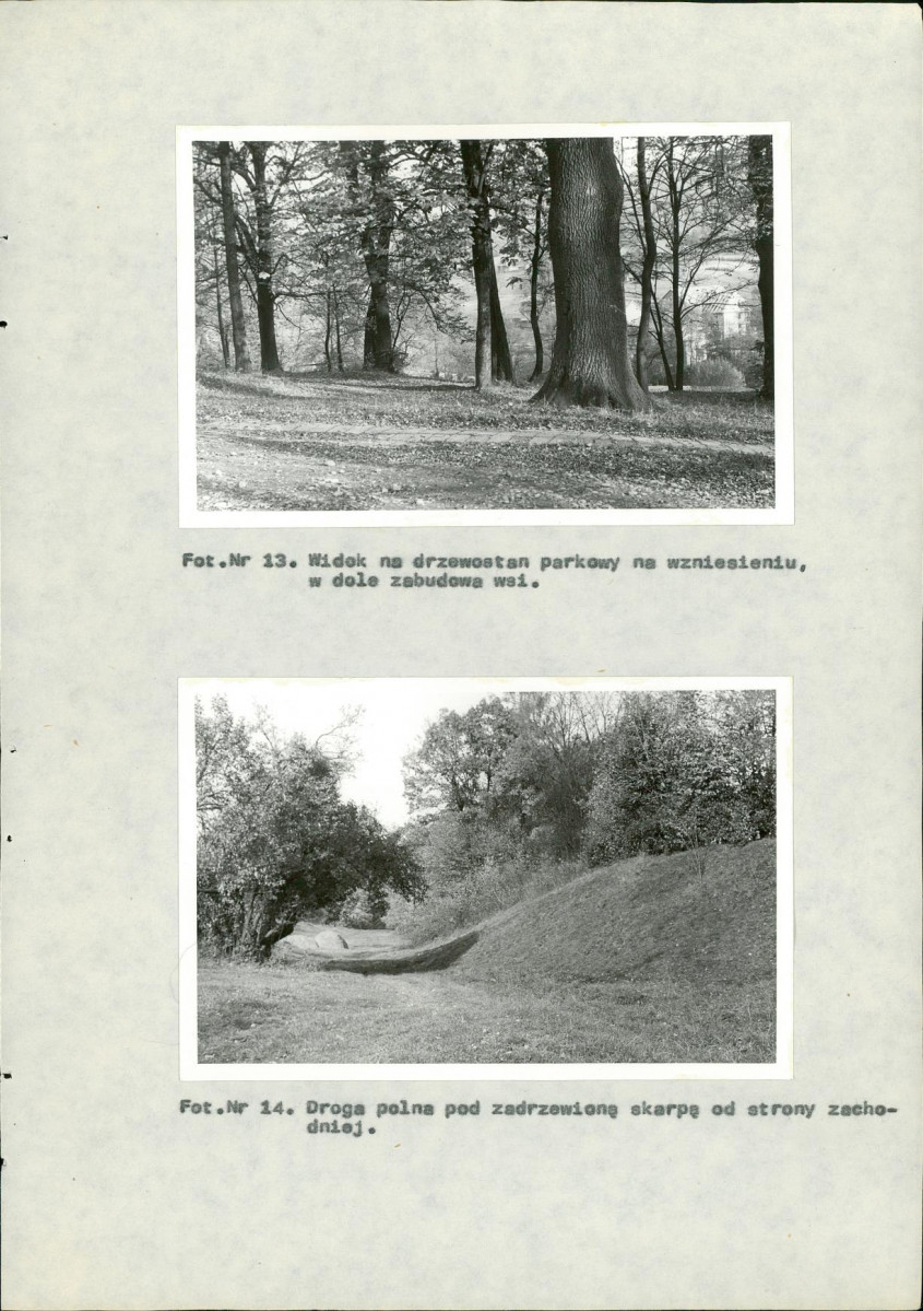 Ewidencja parkowa, skan nr 49