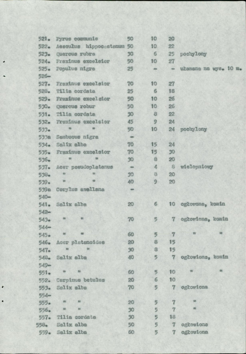 Ewidencja parkowa, skan nr 61