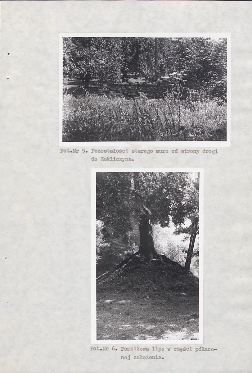 Ewidencja parkowa, skan nr 31