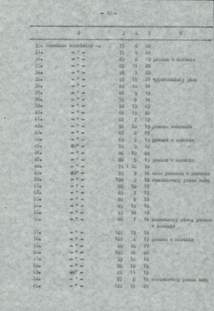 Ewidencja parkowa, skan nr 18