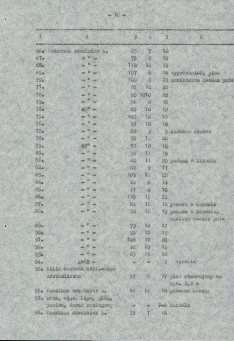 Ewidencja parkowa, skan nr 19