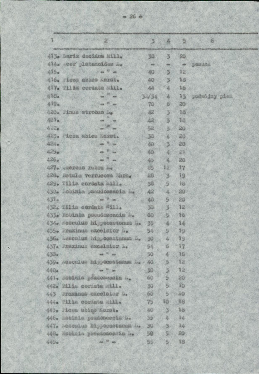 Ewidencja parkowa, skan nr 29