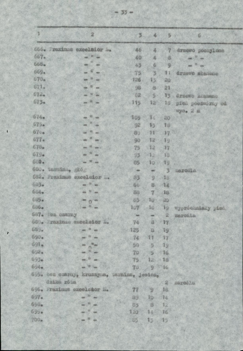 Ewidencja parkowa, skan nr 36