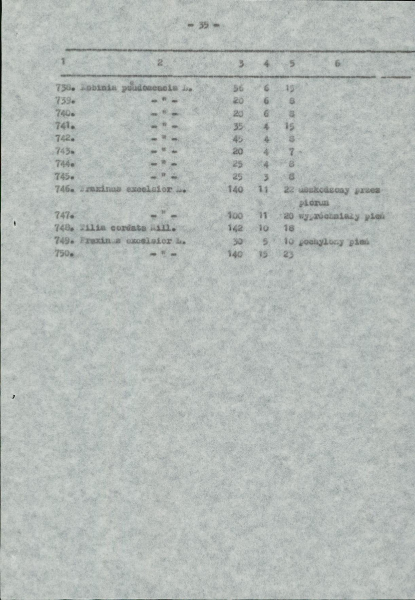 Ewidencja parkowa, skan nr 38