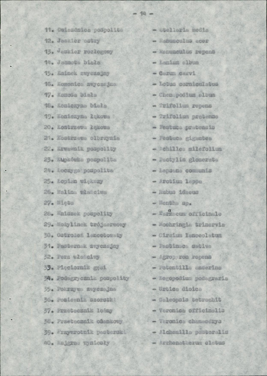 EP - Ewidencja parkowa, skan nr 23