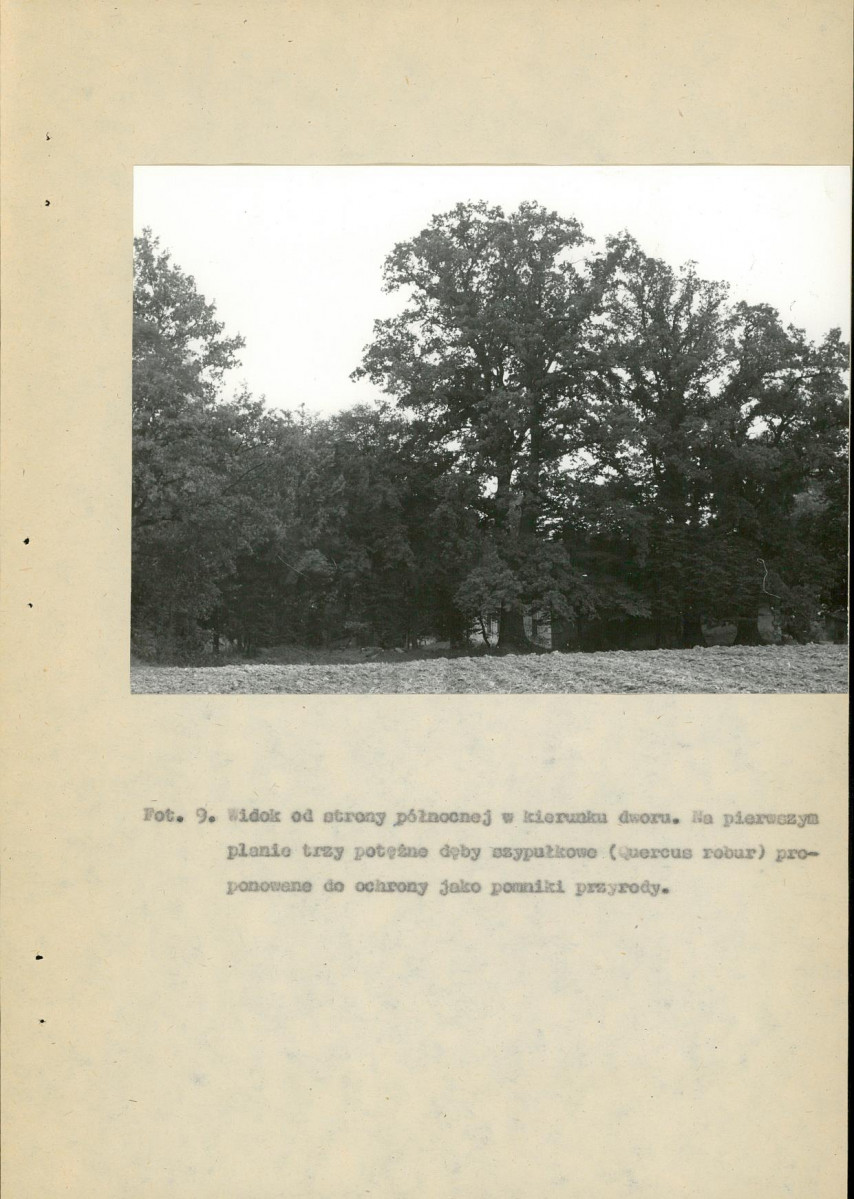 EP - Ewidencja parkowa, skan nr 55