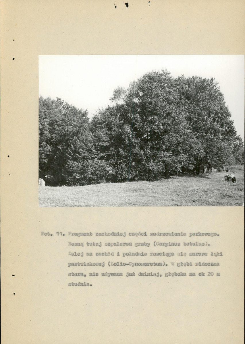 EP - Ewidencja parkowa, skan nr 57