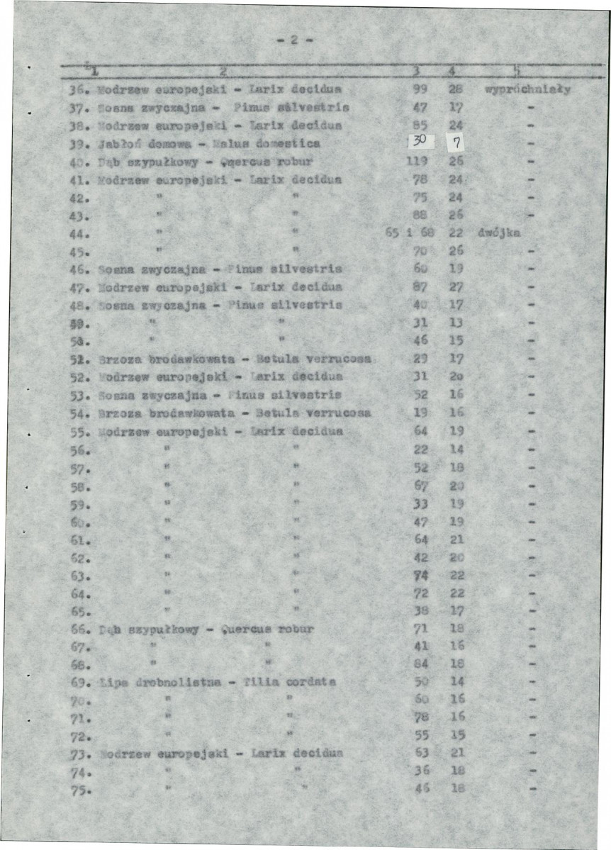 EP - Ewidencja parkowa, skan nr 46