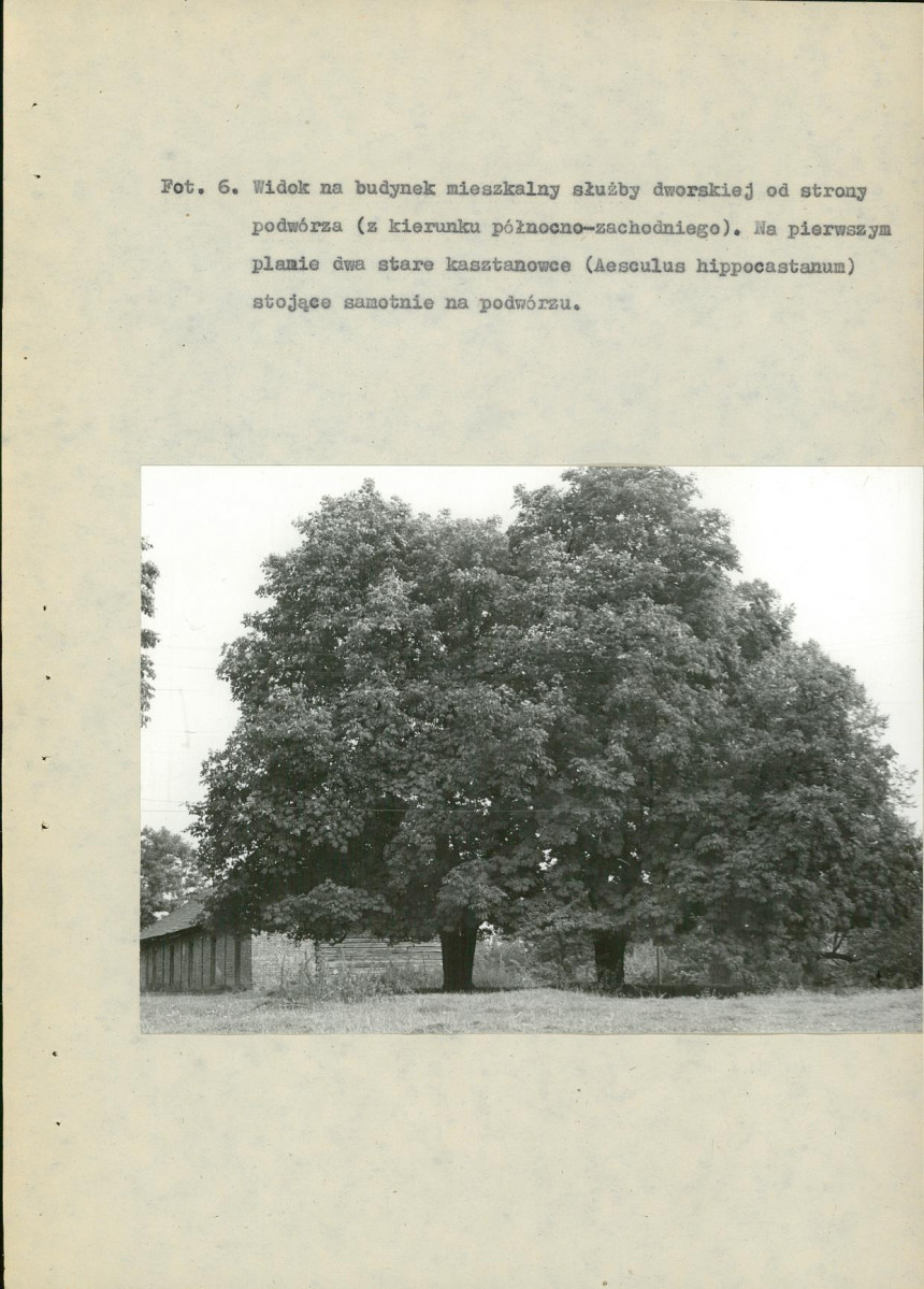 EP - Ewidencja parkowa, skan nr 70