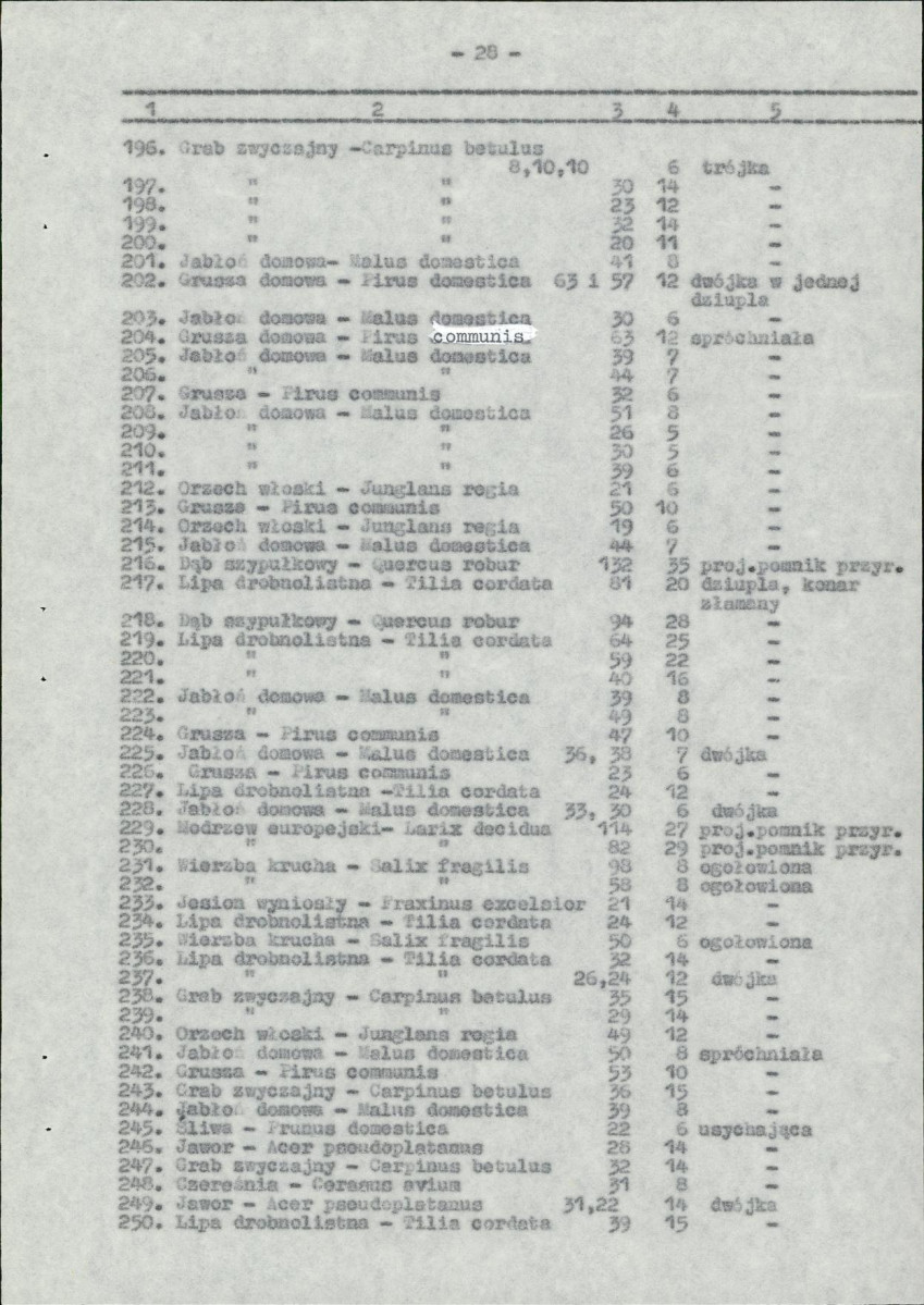 EP - Ewidencja parkowa, skan nr 38