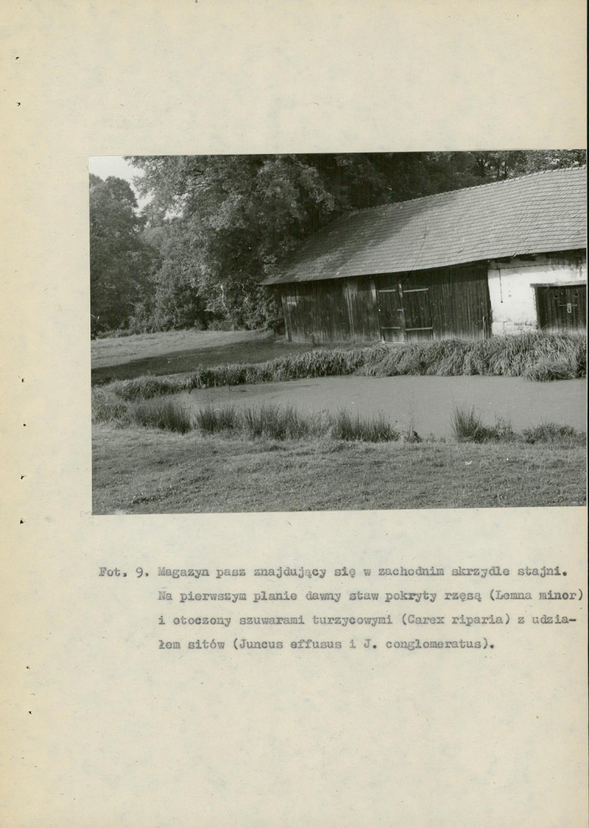 EP - Ewidencja parkowa, skan nr 73