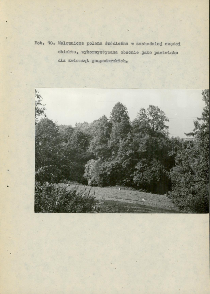 EP - Ewidencja parkowa, skan nr 74