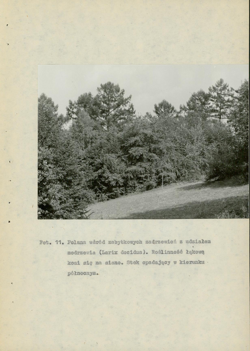 EP - Ewidencja parkowa, skan nr 75
