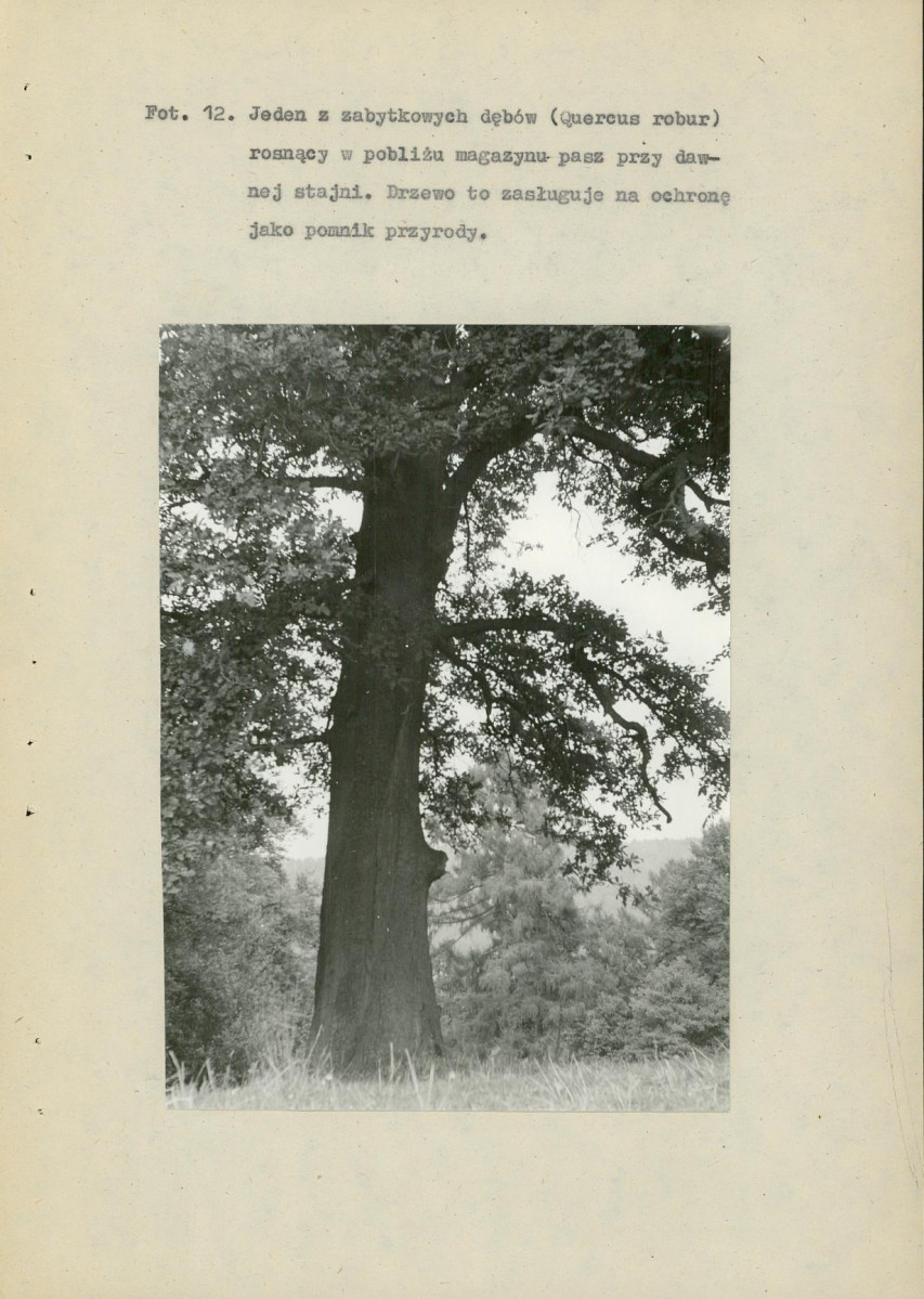 EP - Ewidencja parkowa, skan nr 76