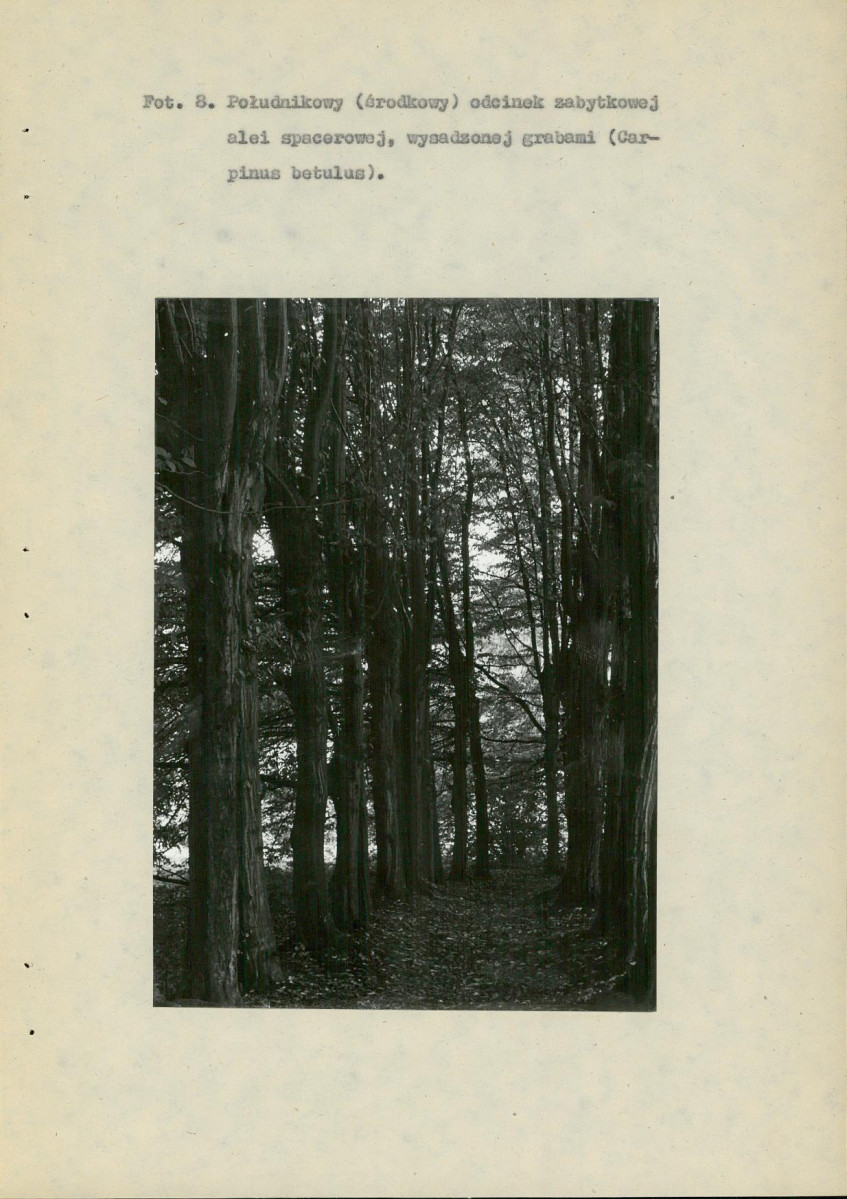 EP - Ewidencja parkowa, skan nr 69