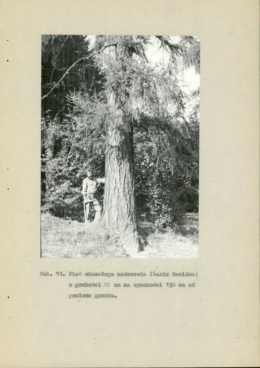 EP - Ewidencja parkowa, skan nr 72